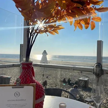 Vernieuwd Zeezicht Zee Luxe Apartment